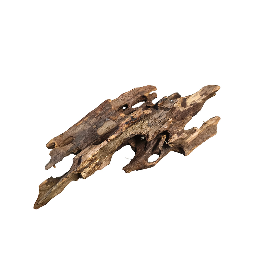 Korzeń Dragon Wood Smoczy Korzeń M 18-30cm Dekoracja Akwarium Hardscape